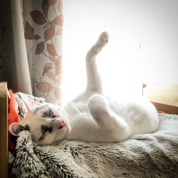 2a6e2b30 ece6 491c 8415 f0efbbbf662f