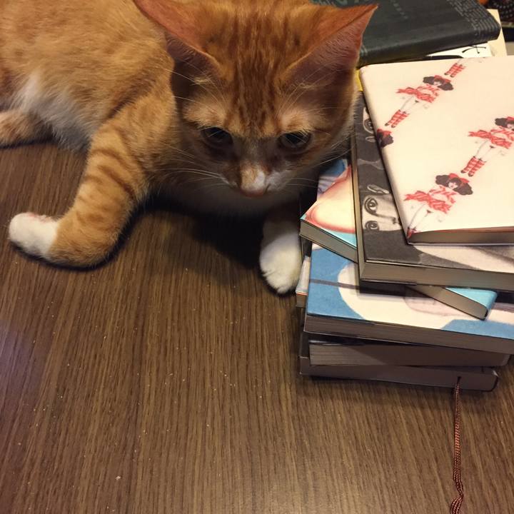 2a6e7db6 d9ac 4b41 8514 662ccc437847