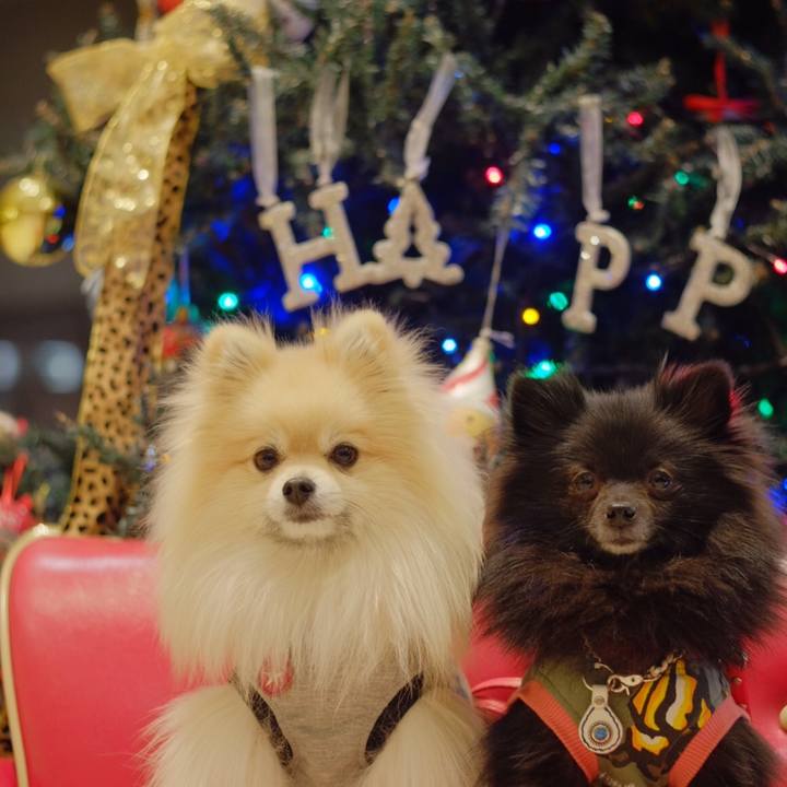 2a6e9048 e979 40bb 9410 cfa67aec10b2