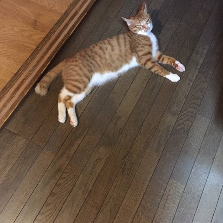 2a6f382d 96f0 4573 a98e 812578809616