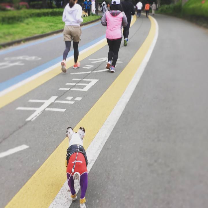 2a6f4337 3e28 4765 91d9 e8ab9f8e1071