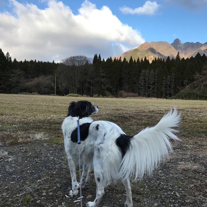 2a6f59e4 ca14 4e4b 8661 7d92967ae092