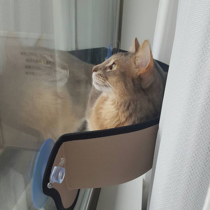 2a6fb432 9937 4e7e 8556 928342807004