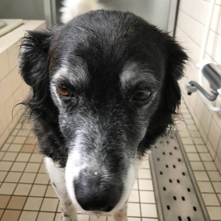 2a70287c 2324 4143 876d 228dc0a1a7b6