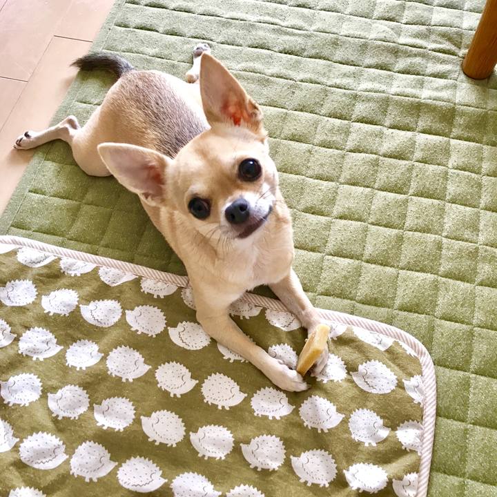 2a70931a d1fc 4ee9 8683 85c33044671e