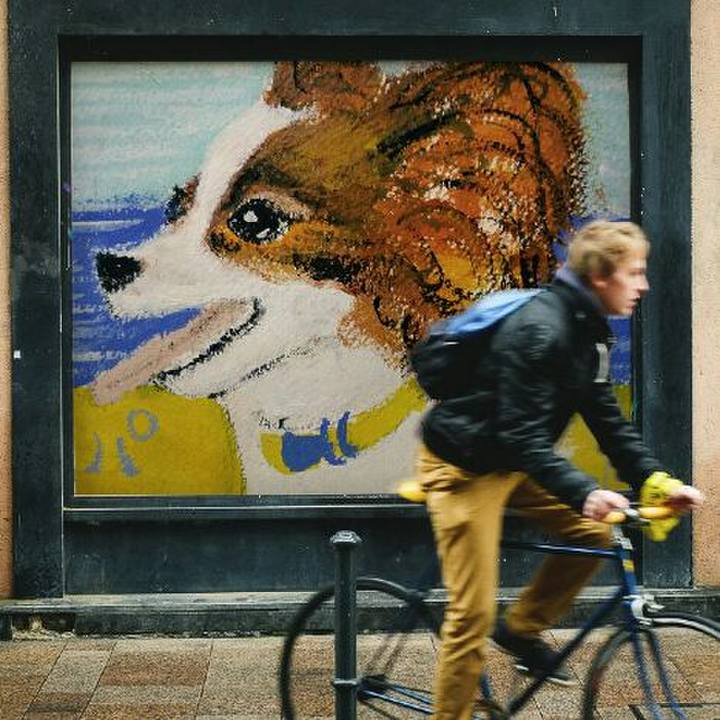 2a70bdf2 b836 43ac 81ee 51027616d959