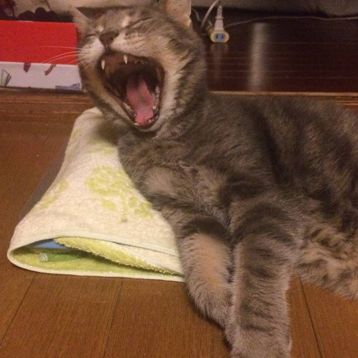 2a70c950 3ffc 4033 8704 8ff4ae42e4d1