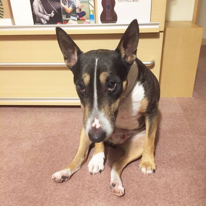 2a713ca0 1e1d 4351 a4aa 5830578a5604