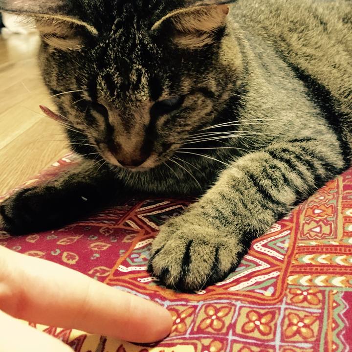 2a71c1f3 e8c8 4760 bbd0 fee5b4cb95b5