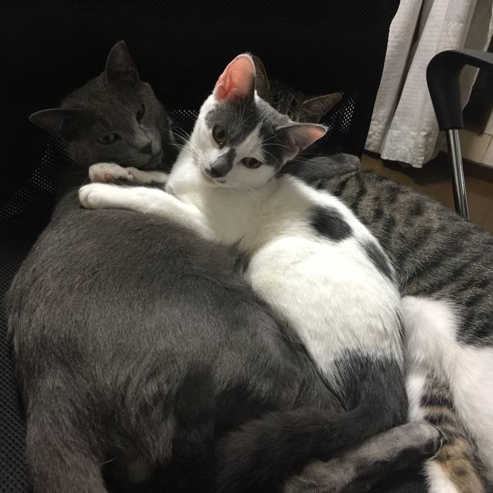 2a71ce68 cc36 4559 a696 46765735eaa9