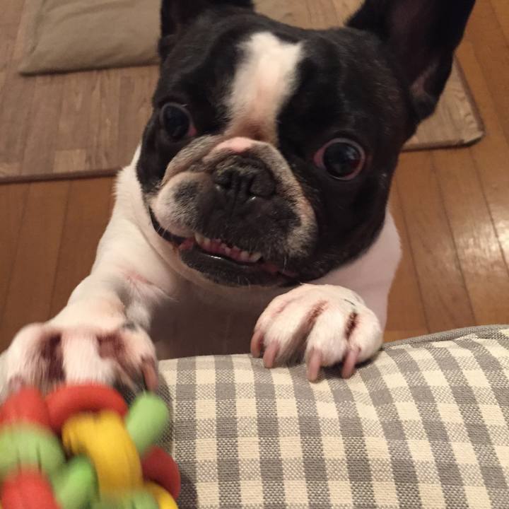 2a731e14 89bf 4d6f 8605 acd5cca0d0e4