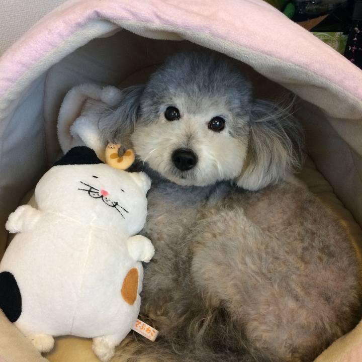 2a73287b 0053 406b 9745 1810b4b4ecdd