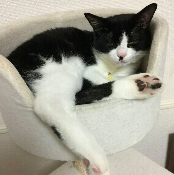 2a738b85 7bed 489b 9db2 c06eb7a1ec06