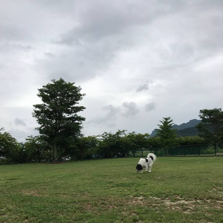 2a738fb6 76c4 4ca9 a2ce 83ac6bae9531