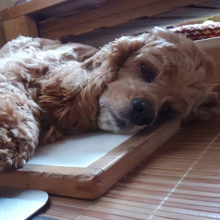 2a7466a1 412b 489c bb71 f4b063a4e6ac