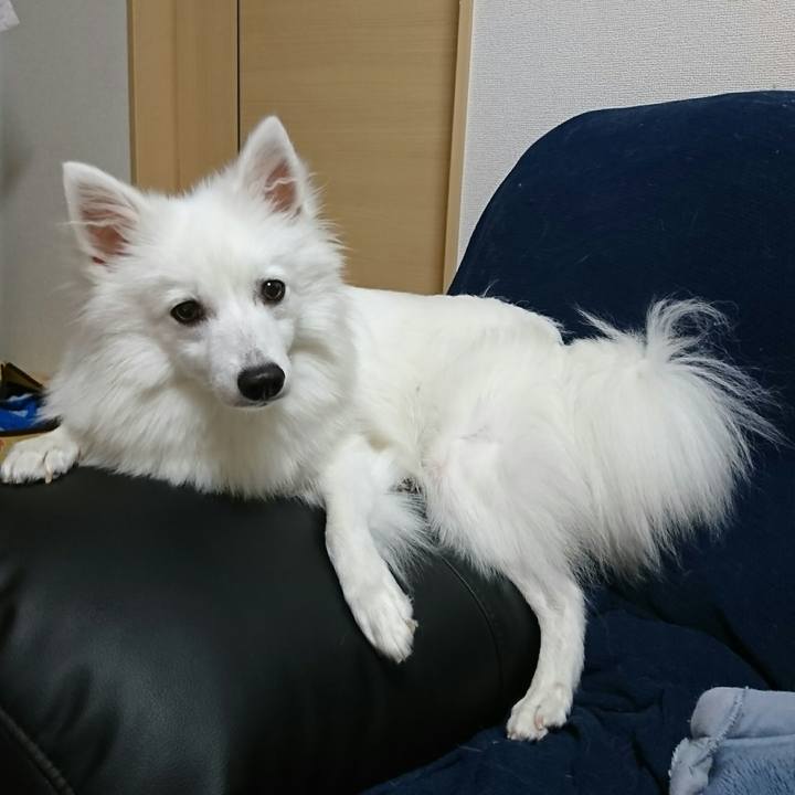 2a7515bc dce9 4c42 ab58 1d84d887d713