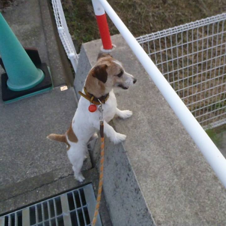 2a752955 e8b3 4435 b31e 132f5bccb513