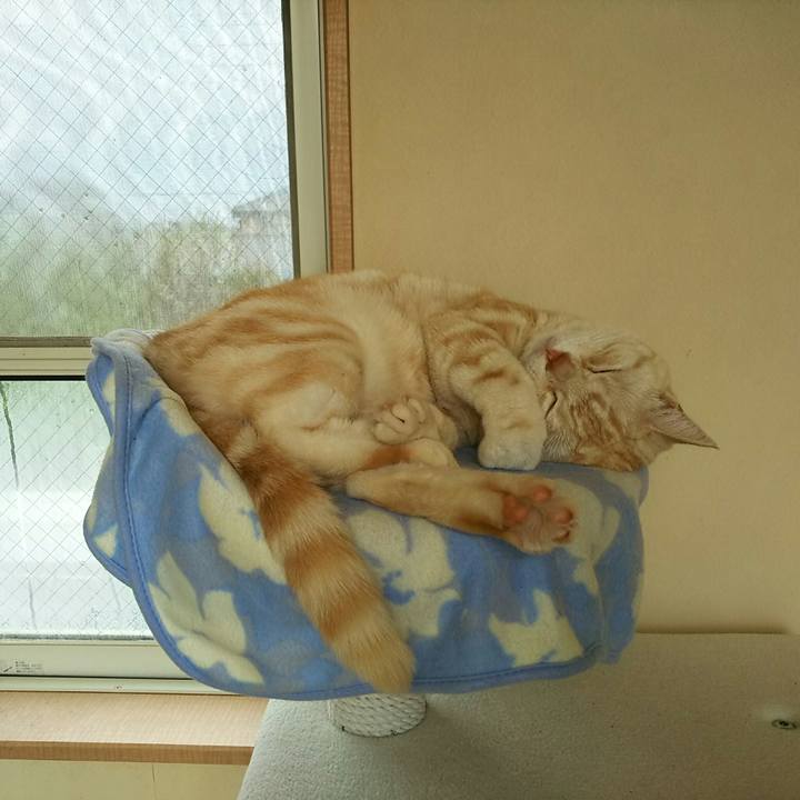 2a753305 5b59 45fe a50c 65bc79fcd7de