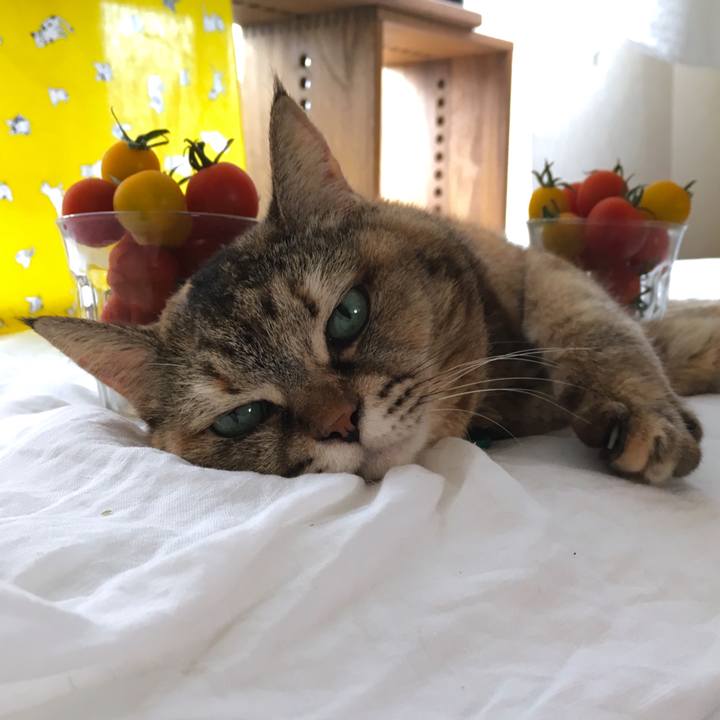 2a7533e5 9127 442d 8375 0b406a789b08