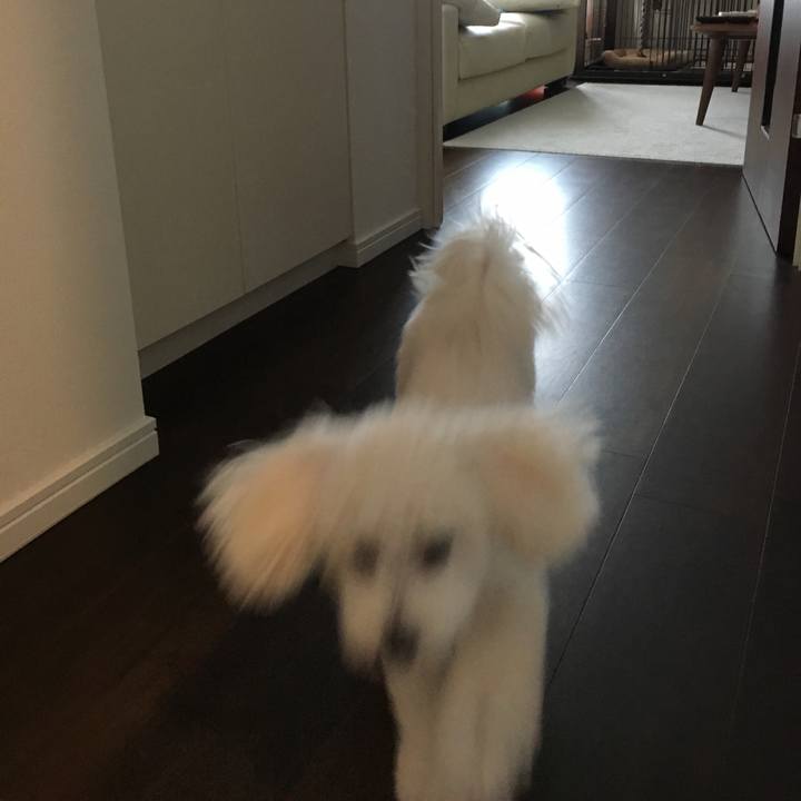 2a7537f7 26d5 4fd9 8c8c 9841317ffdcb