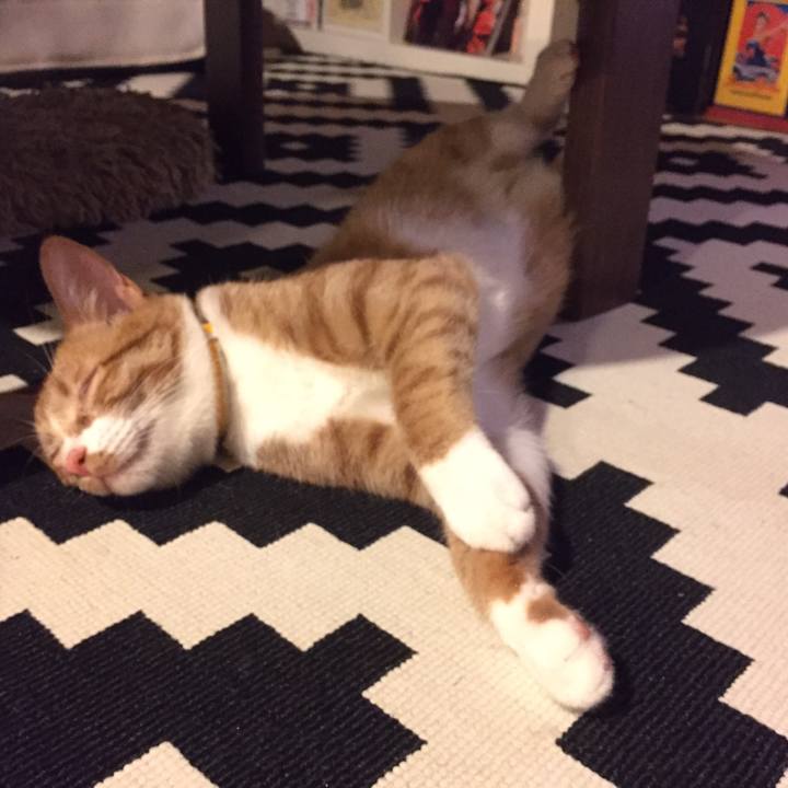 2a75464e 06cb 4685 b387 0b422859d572