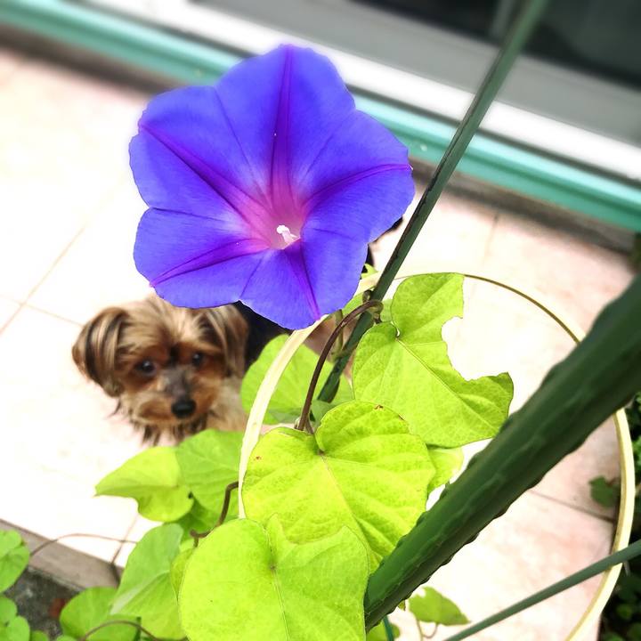 2a7609b7 0979 47f8 bc7c 0f34b824d21c