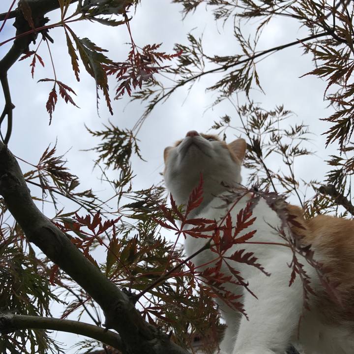 2a76303b 8463 435a bd43 fc94627d3778