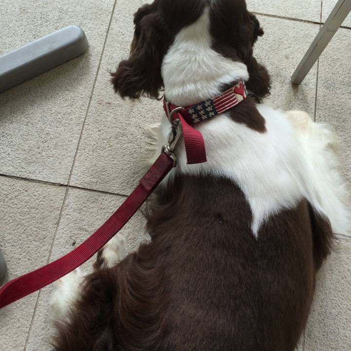 2a7744c4 fa29 41d4 9c67 8c7bf4aa567e