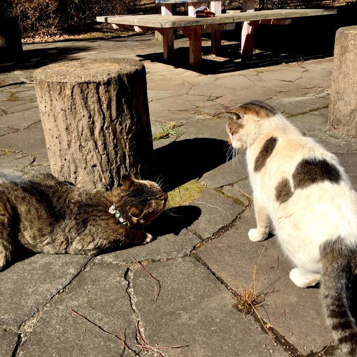 2a776e63 589c 49e1 8d91 f5d9923d5c4e