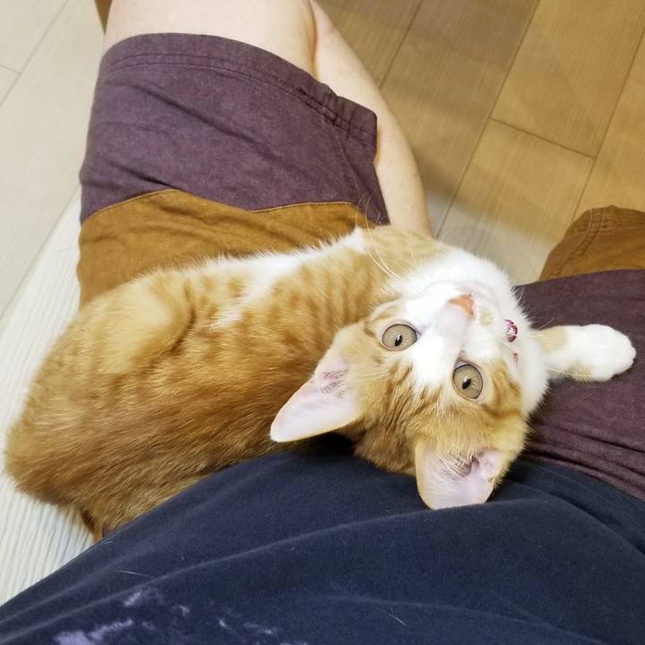 2a778a75 5e7e 426c bb0d 57a4efaa7afd