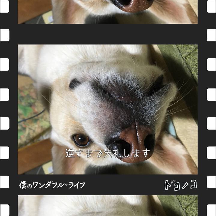 2a77aace cac3 4811 a864 3fb9e375c774