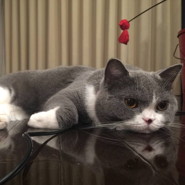 2a77df0b 32d9 46f7 8401 3fe611a28192