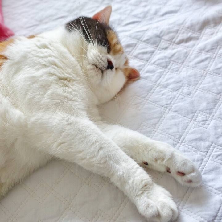 2a7899ae 7825 4a8c be70 af7629c2a129