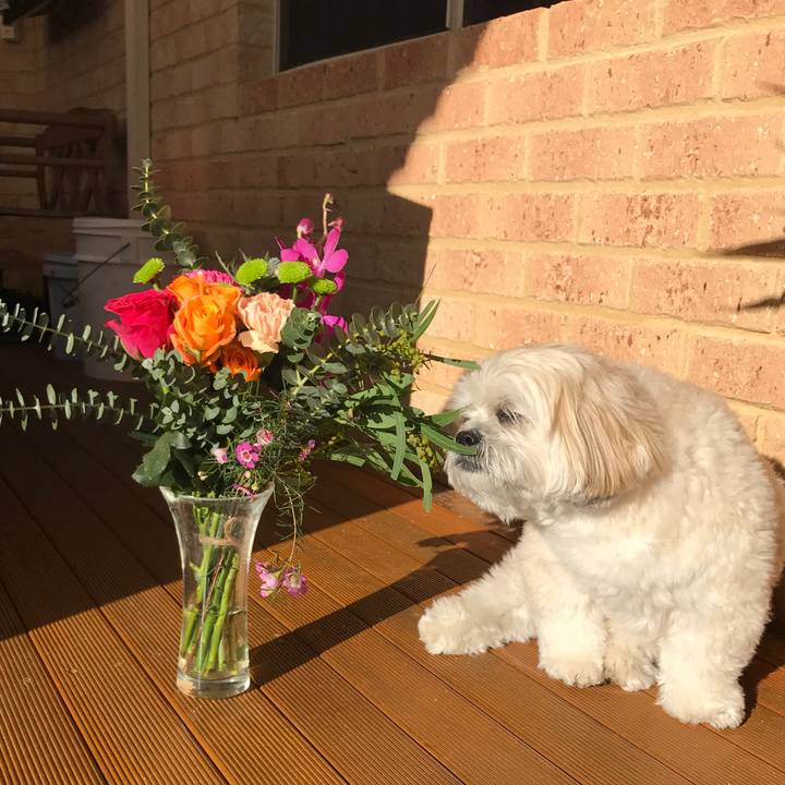 2a78a260 dacc 4cb0 9fd2 f86d5af69f5a