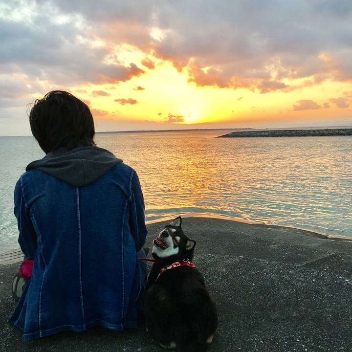 2a78c927 837e 45bc bd5d d23890c7362c