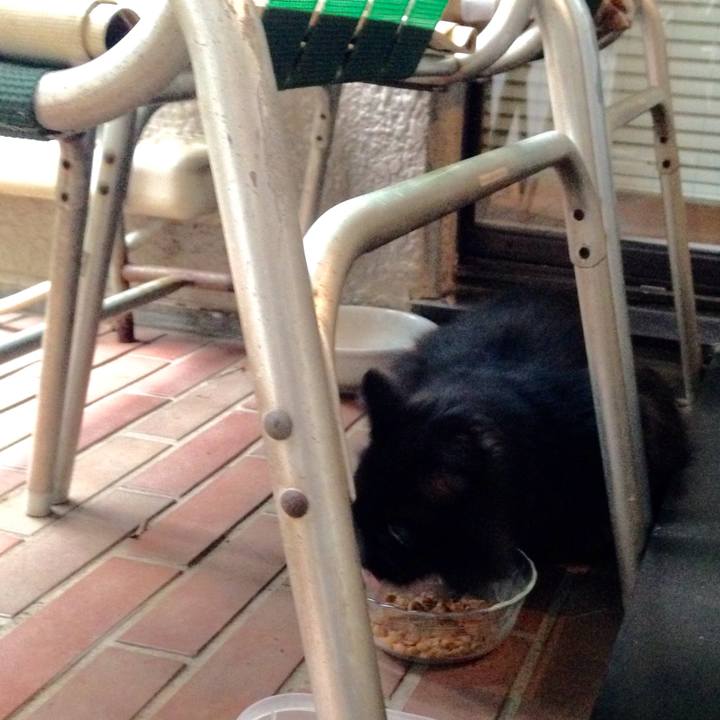 2a7925ab 27be 441c b7f6 176966f27f87