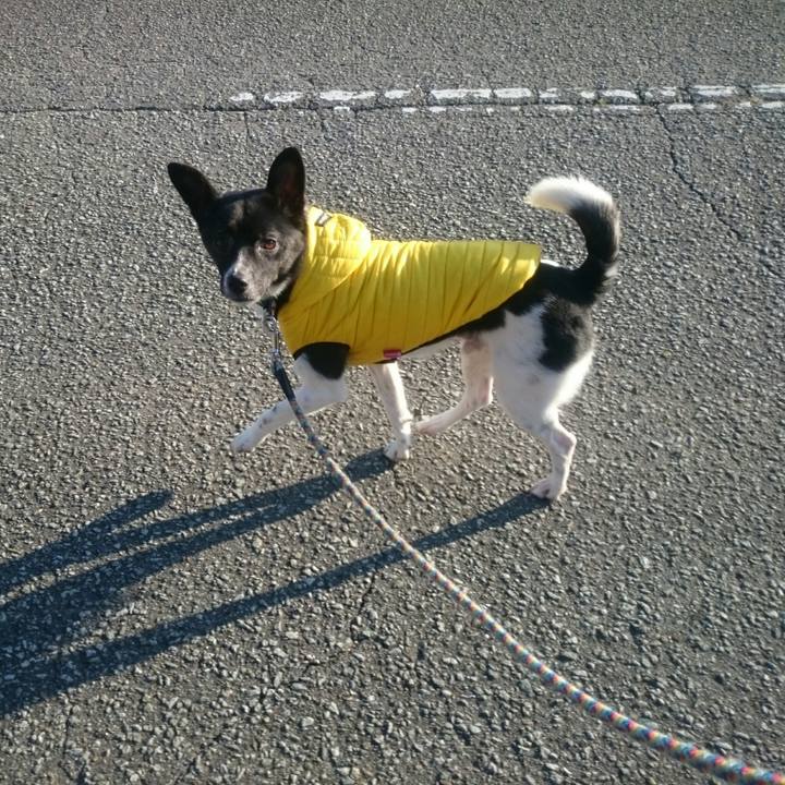 2a7aa7b1 3bf6 4685 a908 5729abf2b526