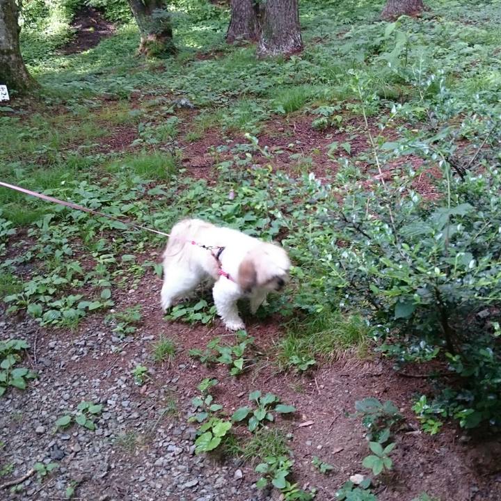 2a7b4c9f e89b 405d a2c2 8f487994858c