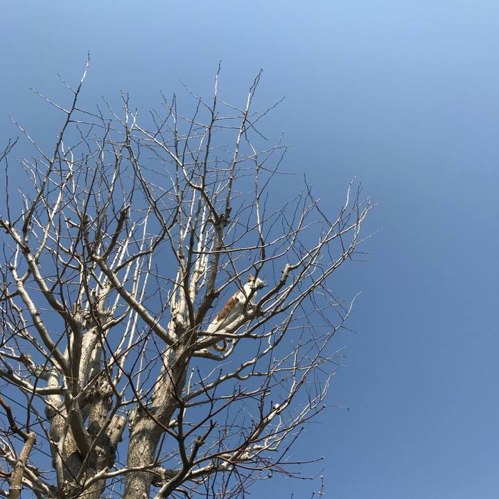 2a7b71c6 2021 4ffd b9f7 aaaa8dd44f16