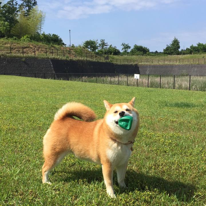 2a7bedd3 c6de 4352 a2ed bd1d48529008