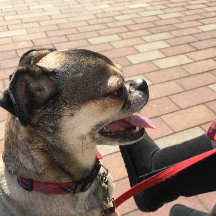 2a7bff70 b878 4554 945f 7909a63671a3