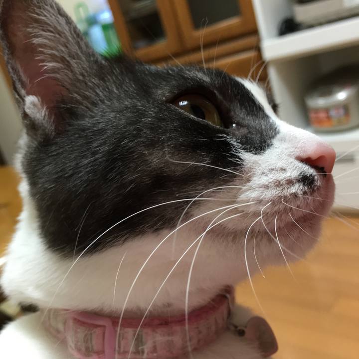 2a7c588b 48d3 4e61 9896 f3635fe91bd0