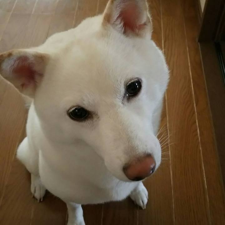 2a7ca5b2 21c1 452d ad57 1f87be2e5145