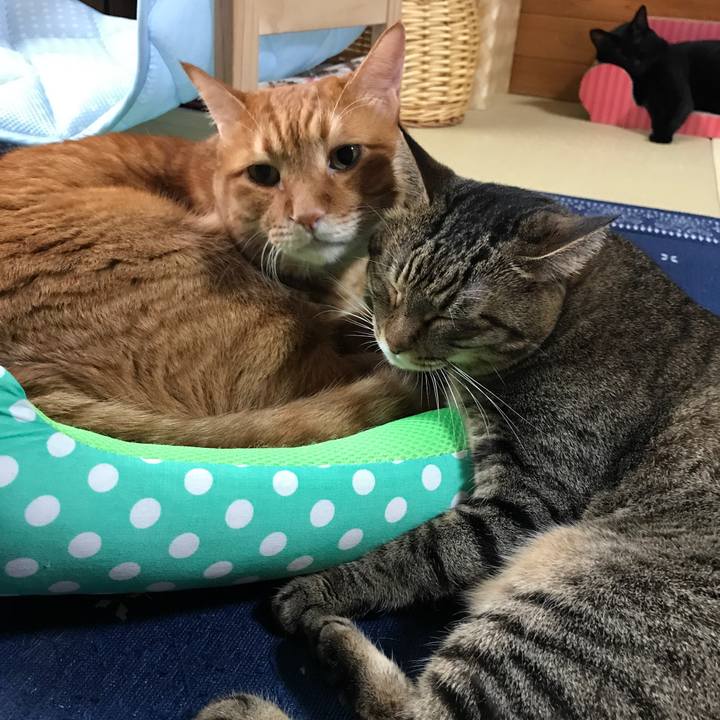 2a7cf061 fd01 4d0f afdb 633f698724b6