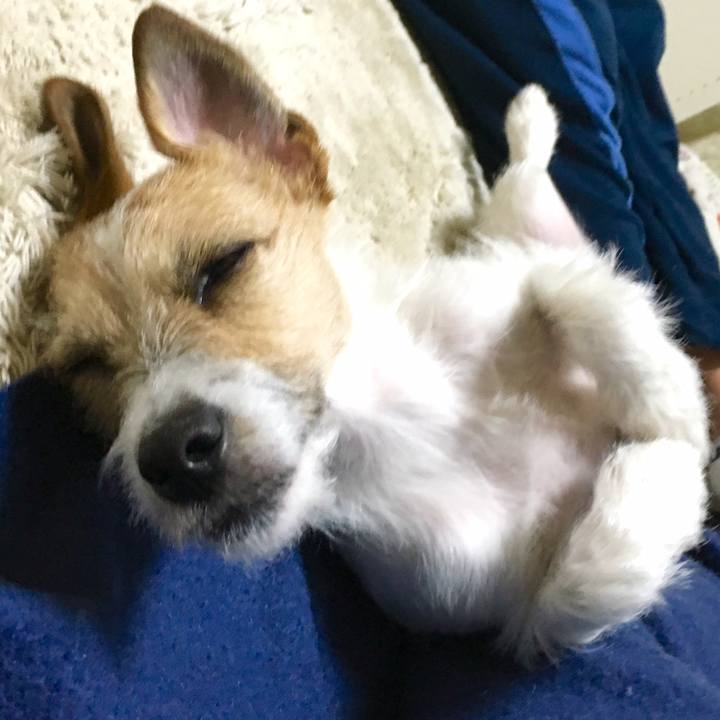 2a7dab79 994d 4b9e 9e22 4e517f32b847