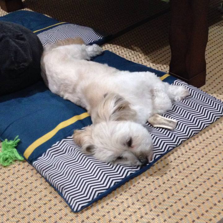 2a7e2470 1f8b 416b 8ddf 0cdf295a6d2c