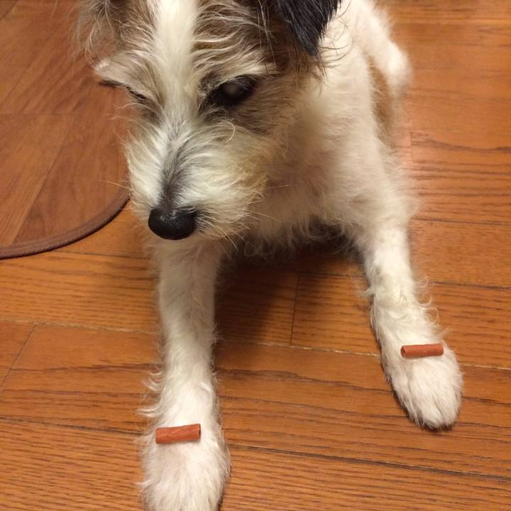 2a7f4627 976d 4c48 81ea a2fc3249fa7b