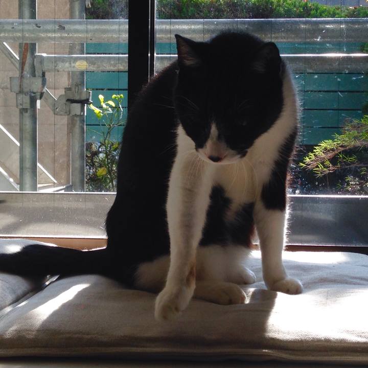 2a7f86a0 f3f4 4862 bd04 b75639b54c38