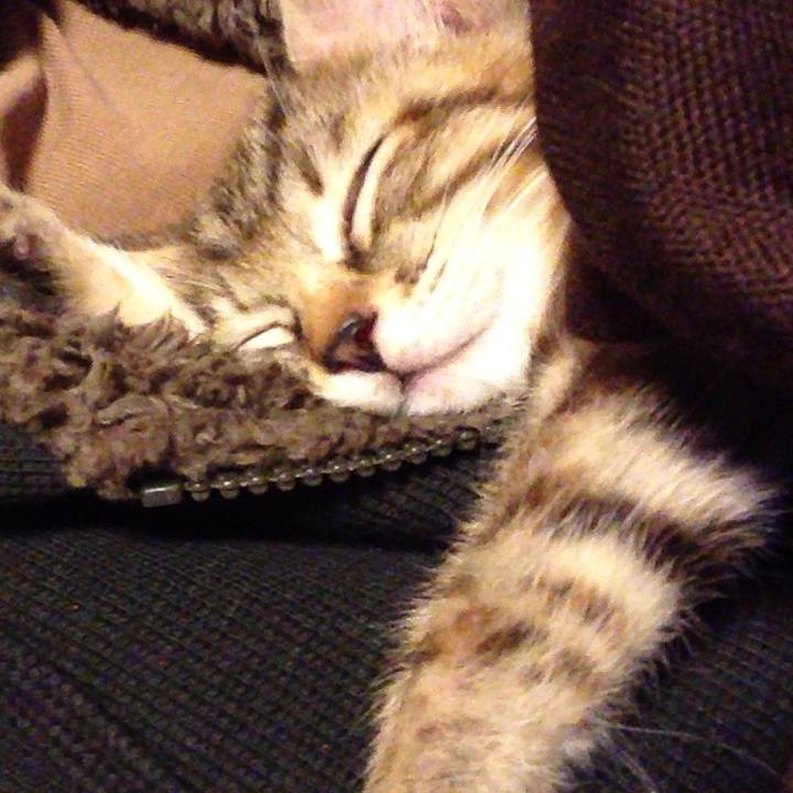 2a7fb6a0 fbc6 45a1 8b72 9fce77fb9d5f