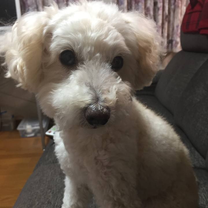 2a80ba4f c661 4e7e be14 c9607c7d368a